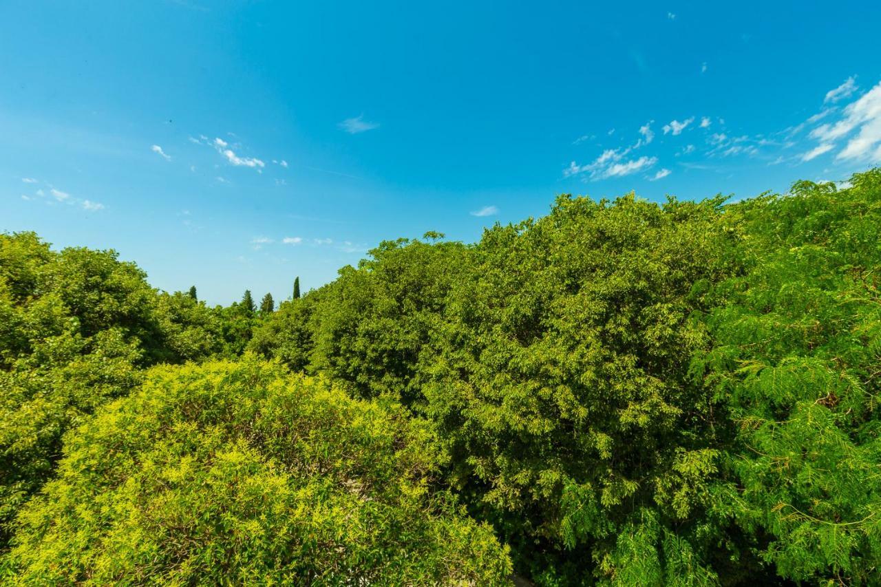 Hedera Estate, Hedera A1 Lägenhet Dubrovnik Exteriör bild